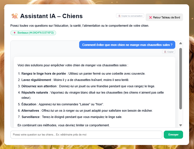 Assistant IA Dog-IAssistant